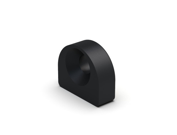 EWIS Rapid chip with chip holder RCS