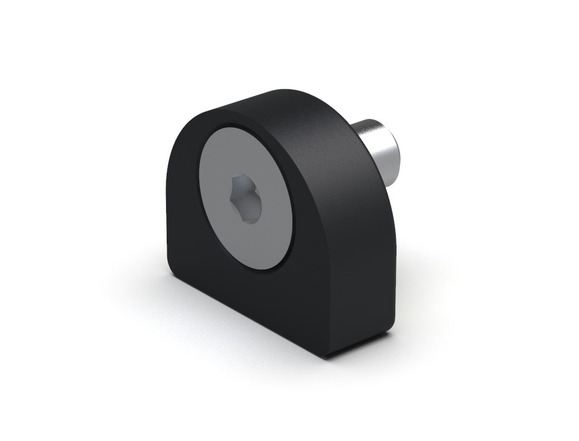 EWIS Rapid chip with chip holder RCS